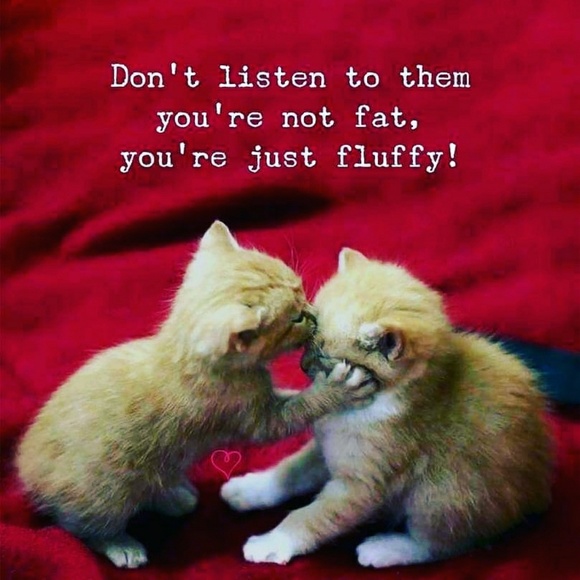 Meet your Posher, - Picture 3 of 7